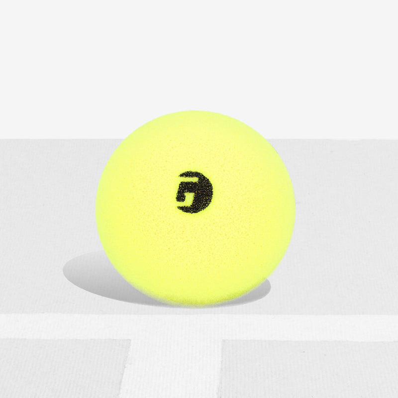 GAMMA Librarian Foam Pickleball